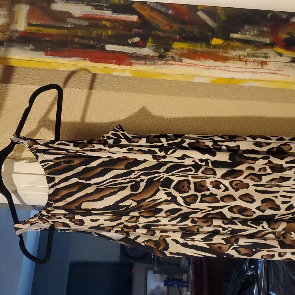 Roar!!!! Soft and cute dress